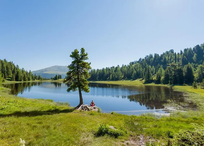 Horská chata Alpenpark Turrach By Alps Turracher Hohe